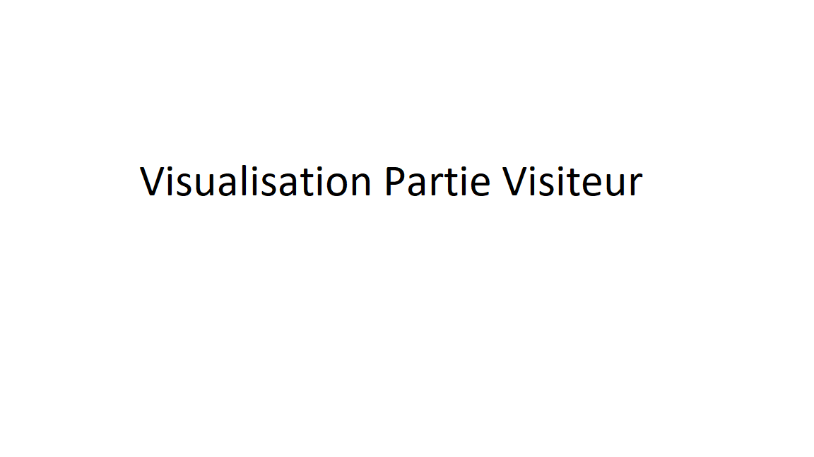 Visualisation Partie Visiteur