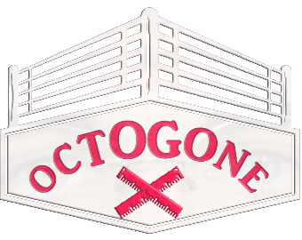 Tournoi Esport Octogone en règle