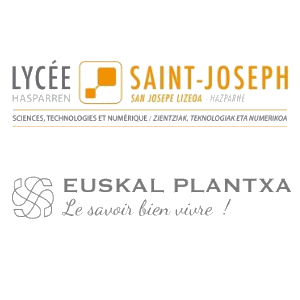 Développement d'une application web pour la surveillance de plantxas