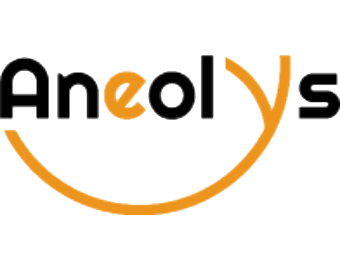 Stage de Marketing Web dans l'entreprise Aneolys