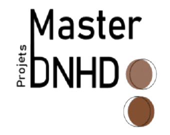 Projets de Master DNHD sous format Web